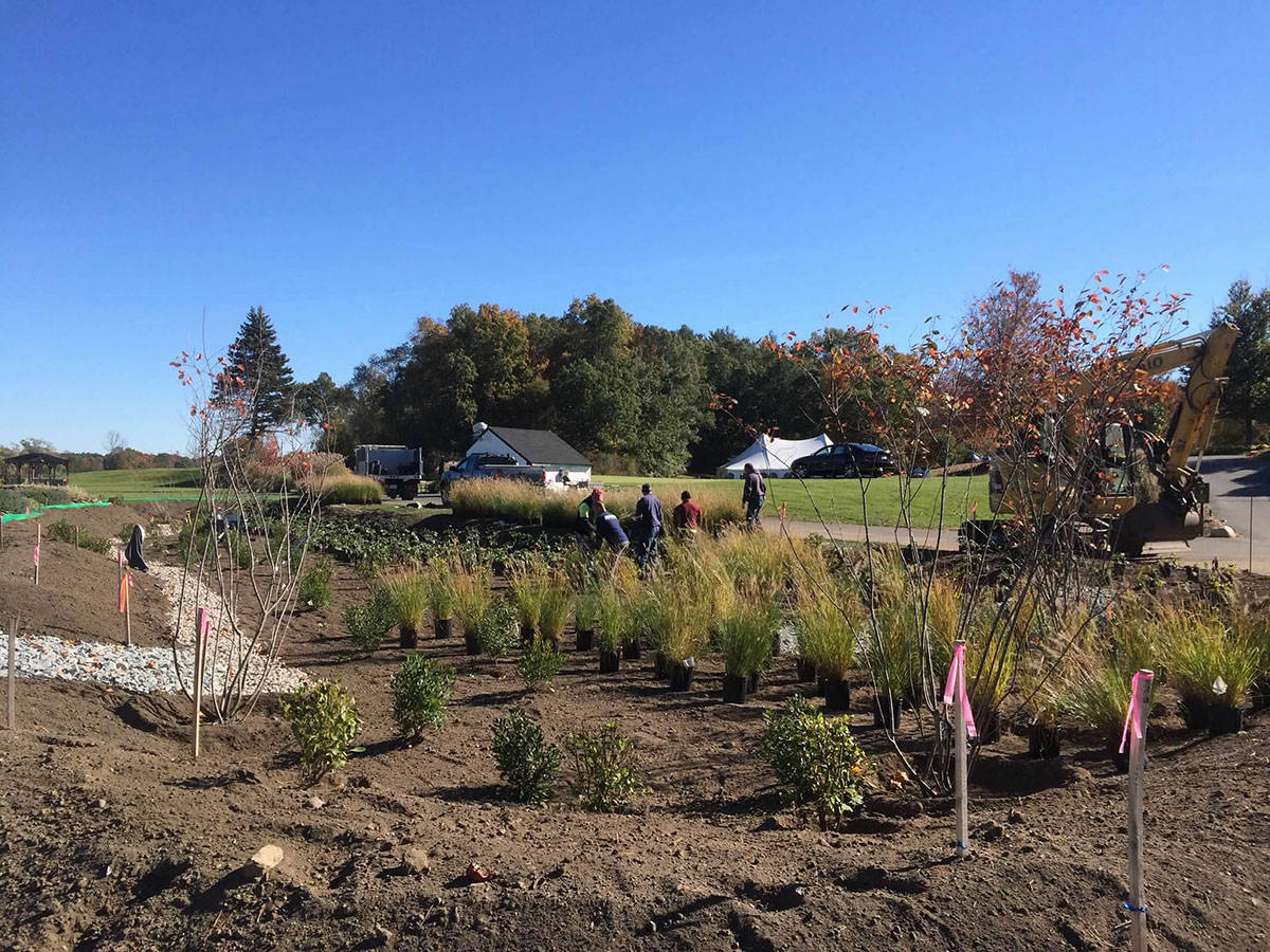 Petrillo & Son Corp. - Hardscaping Commercial