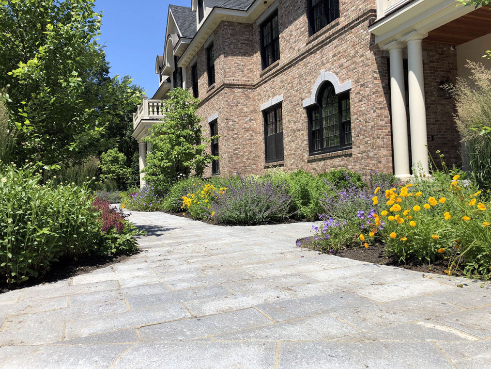 Petrillo & Son Corp. - Landscape Maintenance