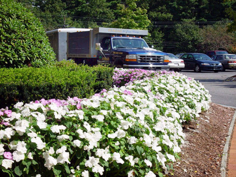 Petrillo & Son Corp. - Landscape Maintenance