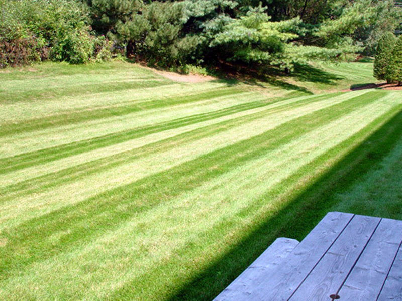 Petrillo & Son Corp. - Landscape Maintenance
