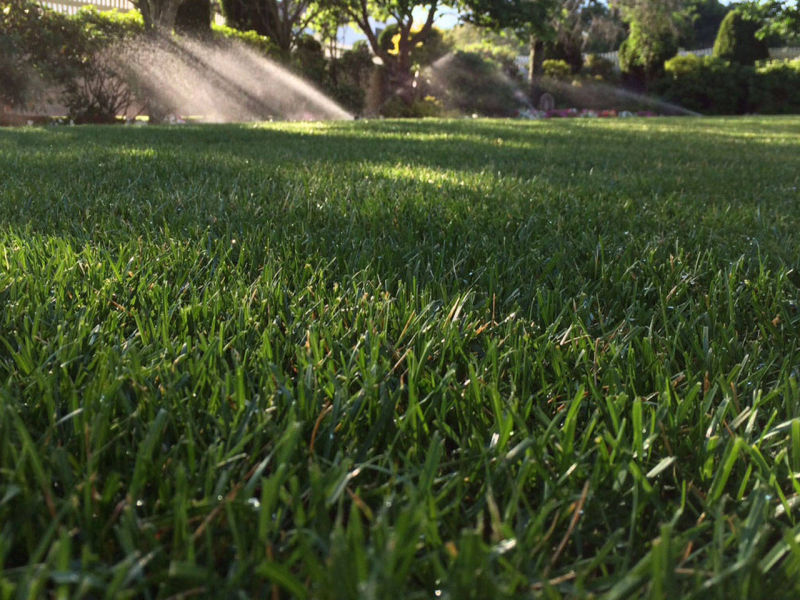 Petrillo & Son Corp. - Landscape Maintenance