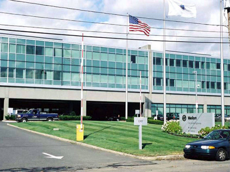 Petrillo & Son Corp. - Landscape Maintenance
