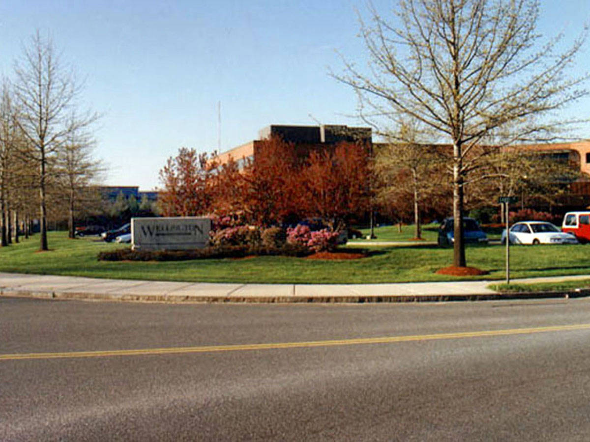 Petrillo & Son Corp. - Landscape Maintenance