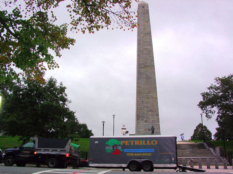 Petrillo & Son Corp. - Landscape Maintenance
