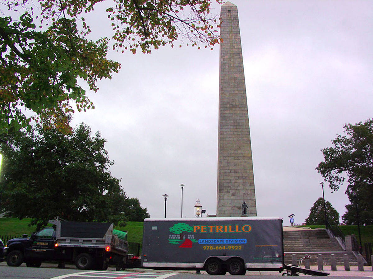 Petrillo & Son Corp. - Landscape Maintenance