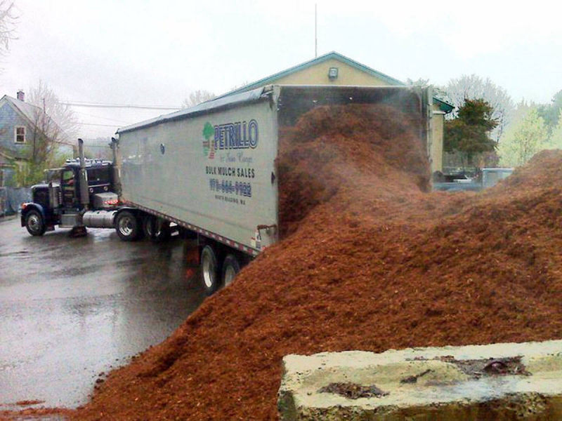 Petrillo & Son Corp. - Mulching